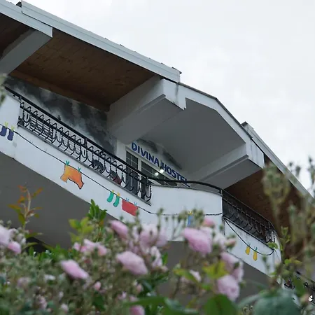 Hostel Divina