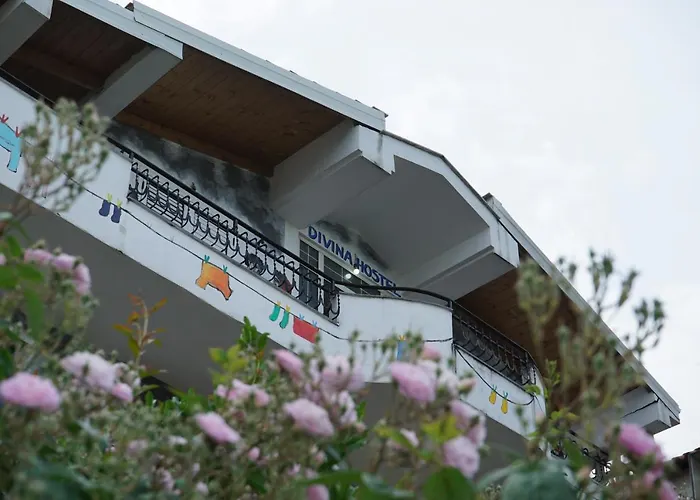Auberge de jeunesse Divina